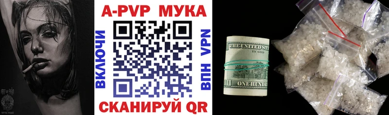 ОМГ ОМГ   как найти   Кашин  А ПВП СК 