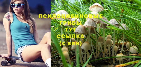 метамфетамин Заводоуковск
