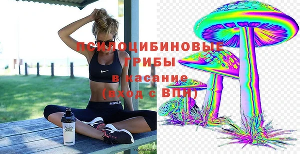 гашик Елизово