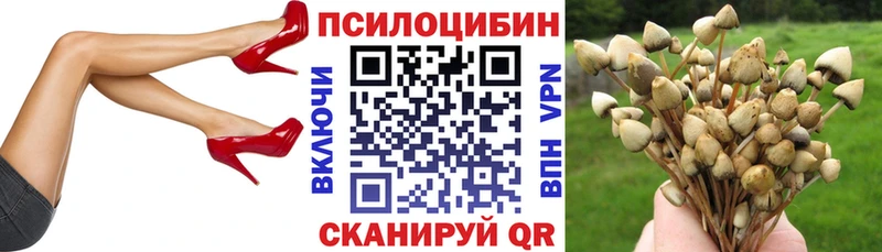 Псилоцибиновые грибы прущие грибы  Кашин 